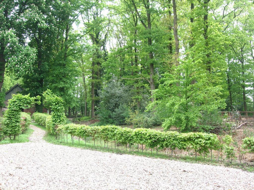 Landgoed De Lavei Bed and Breakfast Weleveld Εξωτερικό φωτογραφία