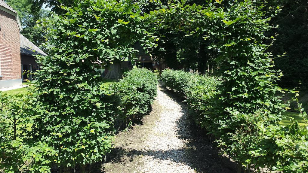 Landgoed De Lavei Bed and Breakfast Weleveld Εξωτερικό φωτογραφία